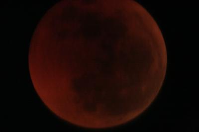 img_8291.jpg
